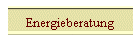 Energieberatung